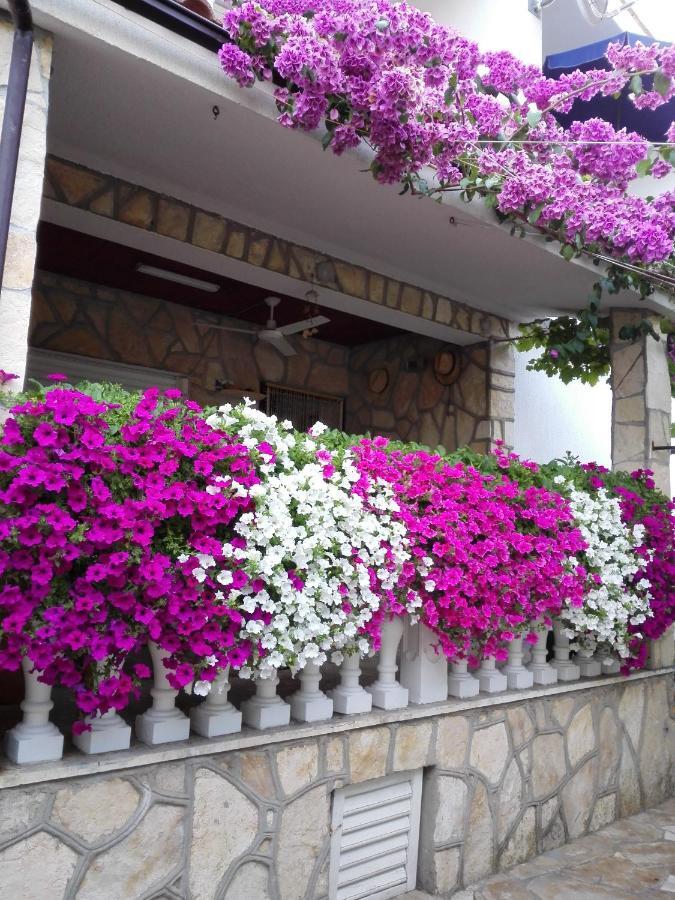 Apartments Zora Nin Εξωτερικό φωτογραφία